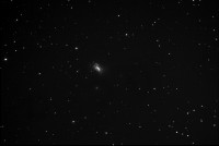 Fitswork_NGC4449_183MM_20x30s_585s_G75_O10_M10C.jpg