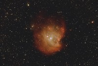 NGC2175.jpg