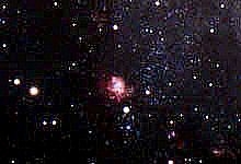Nébuleuse NGC 604