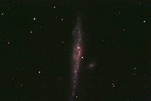 Galaxie NGC 4631