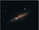 Supernovæ dans la Galaxie M 82